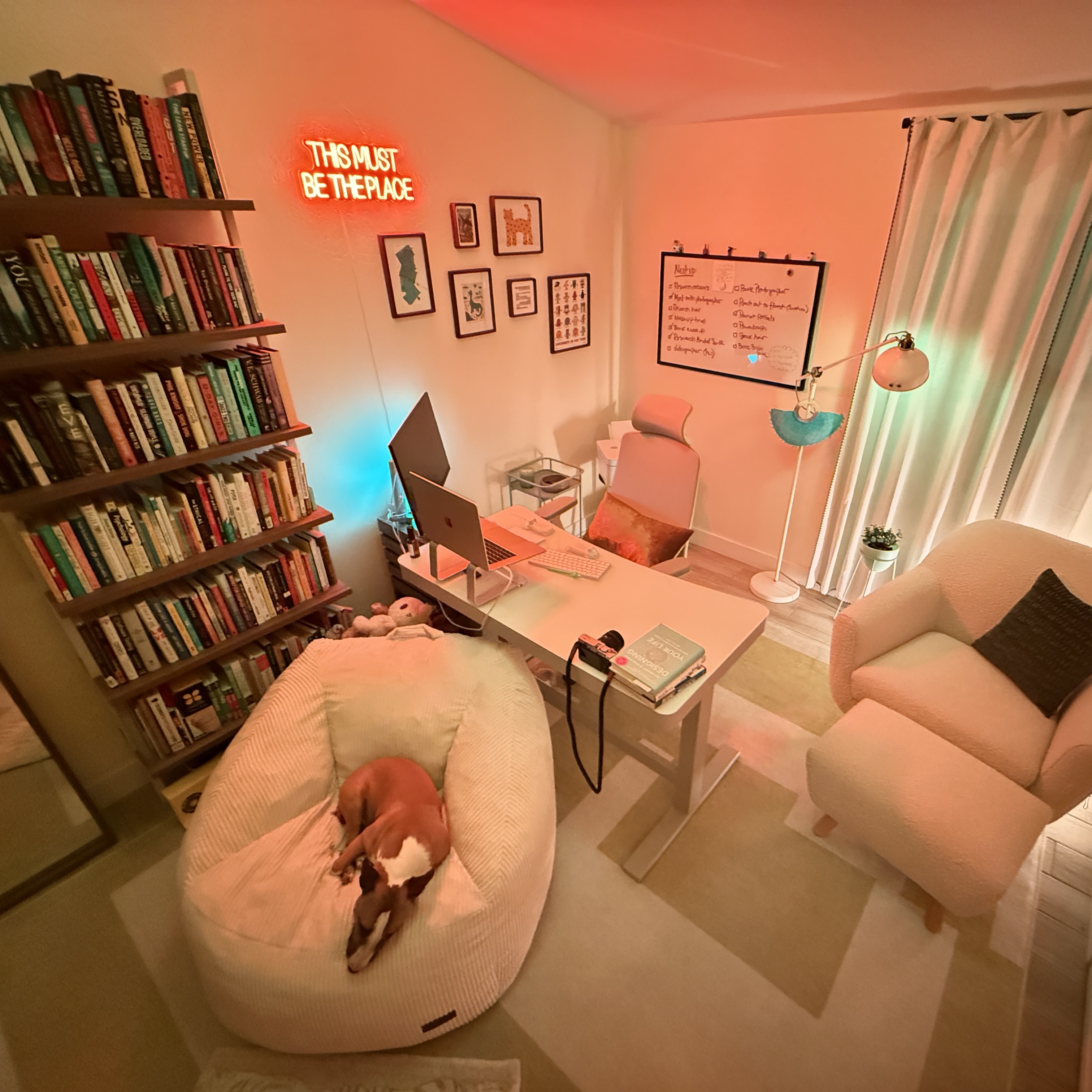Very Nice Design studio — workspace with bookshelf, desk, and Kaj the mini bull terrier